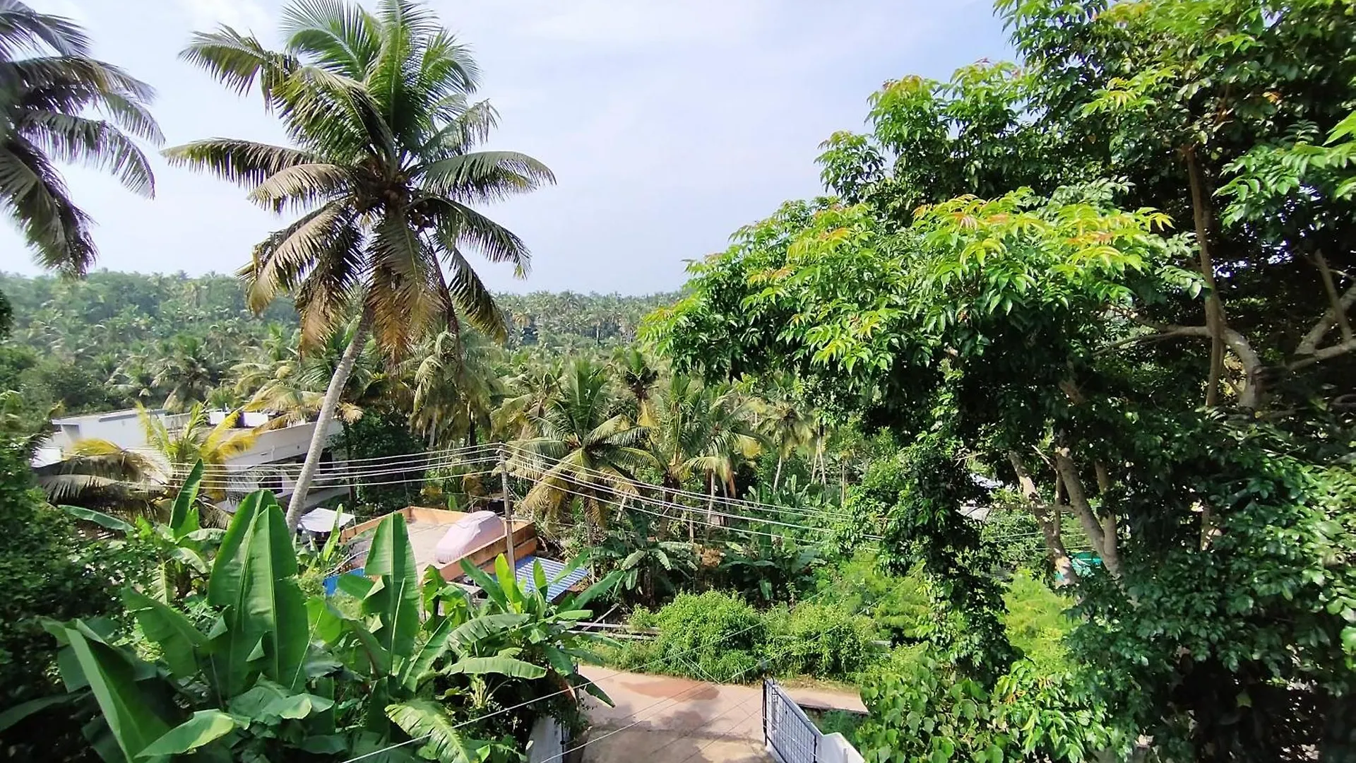 Greenview Homestay Kovalam Тривандрум